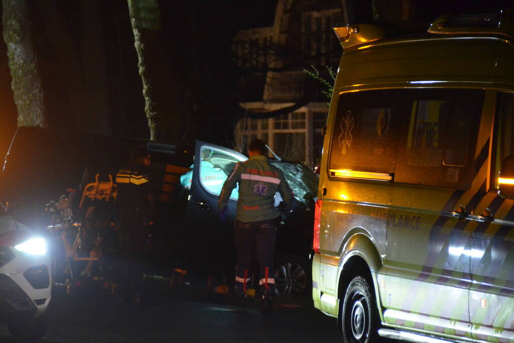 Bestuurder van bestelbus eindigt tegen boom
