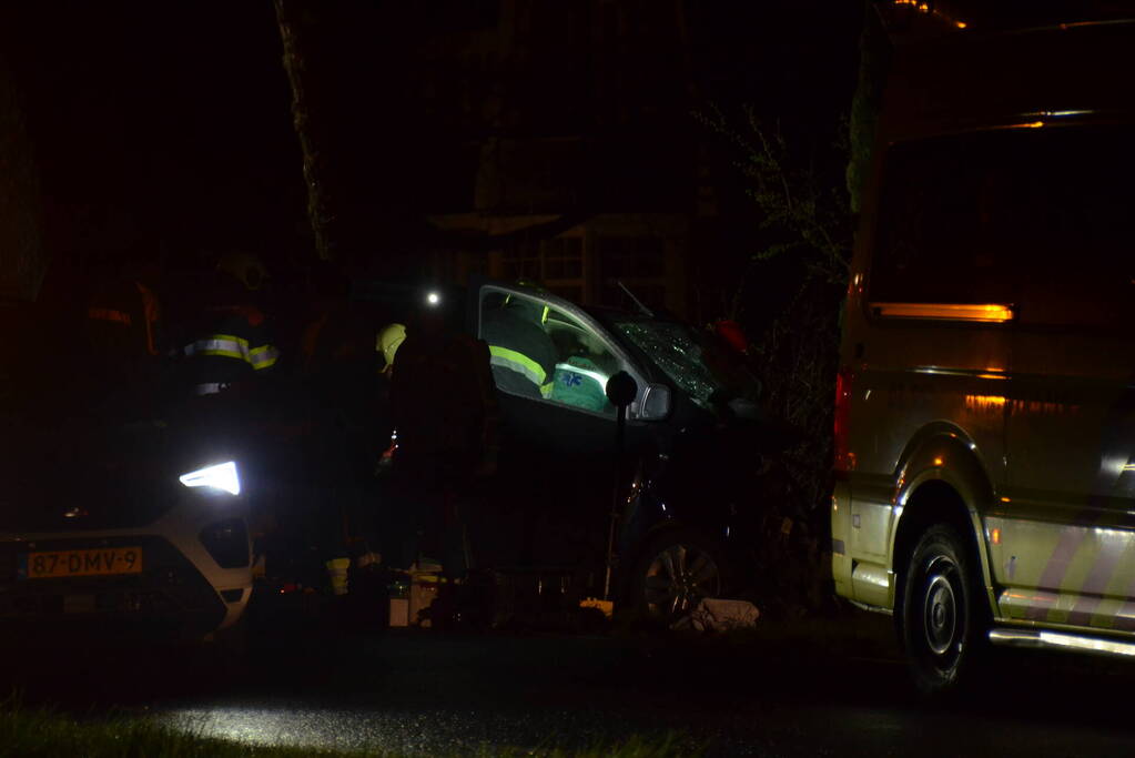 Bestuurder van bestelbus eindigt tegen boom