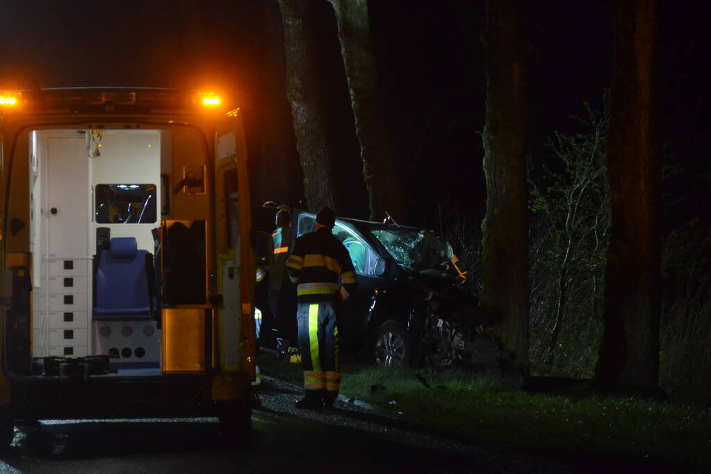Bestuurder van bestelbus eindigt tegen boom