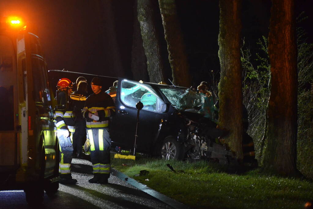 Bestuurder van bestelbus eindigt tegen boom