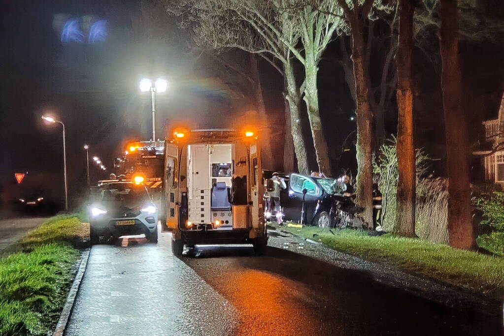 Bestuurder van bestelbus eindigt tegen boom