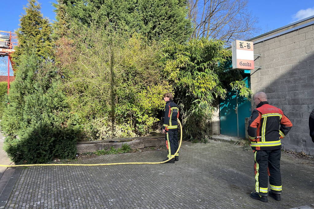 Egel gered bij brand in bosjes