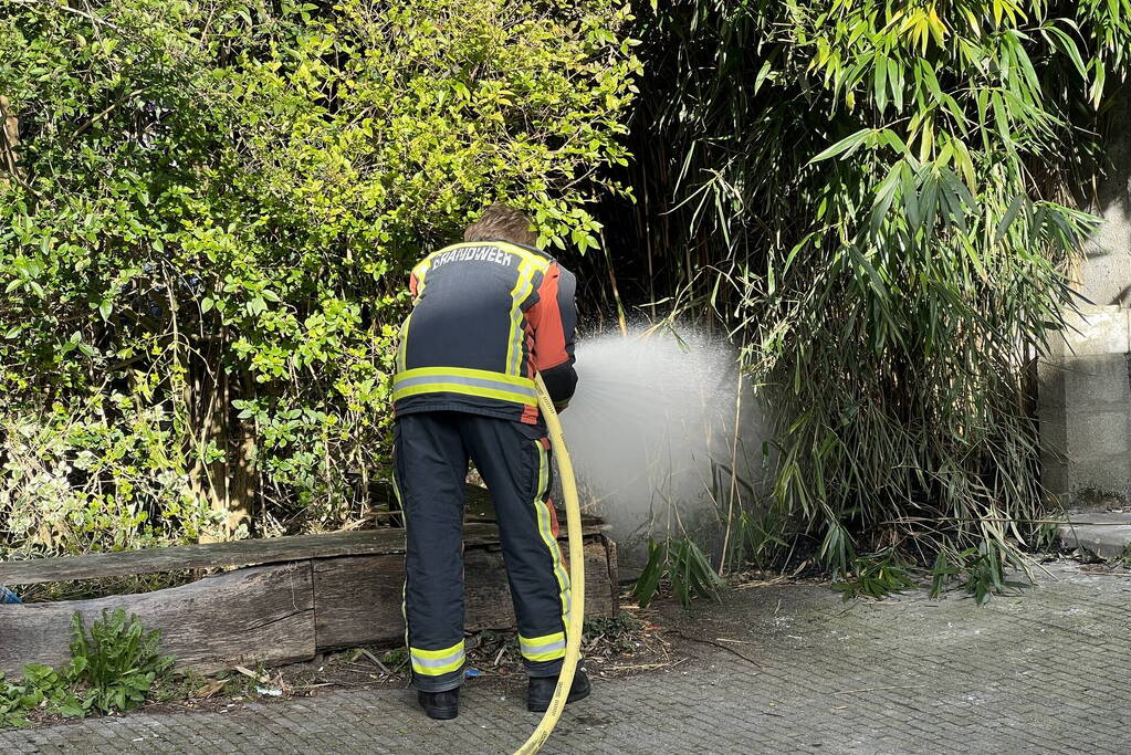 Egel gered bij brand in bosjes