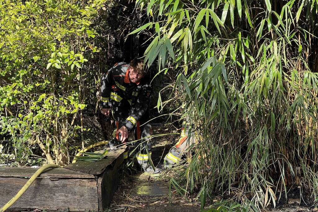 Egel gered bij brand in bosjes