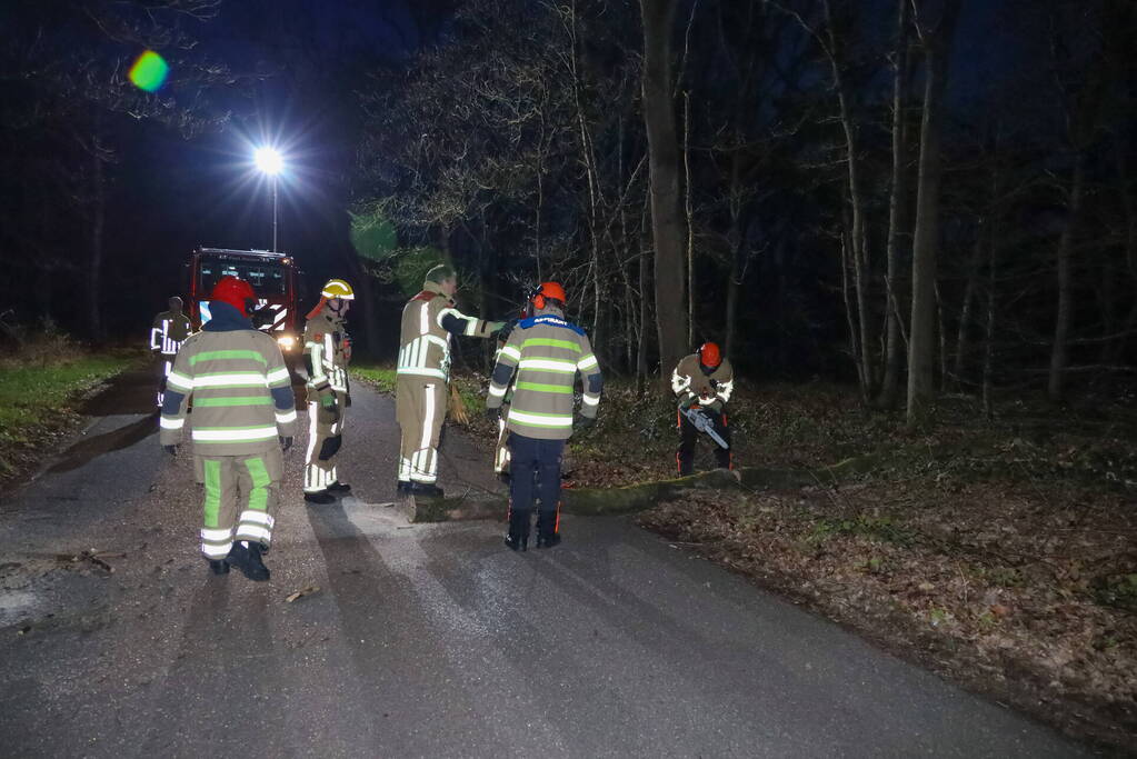 Geknakte boom verspert weg
