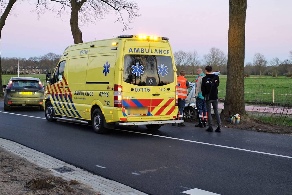 Automobilist gewond bij botsing met boom