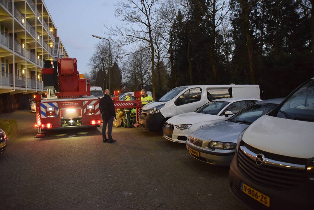 Kat in hoge boom op de vlucht voor brandweer