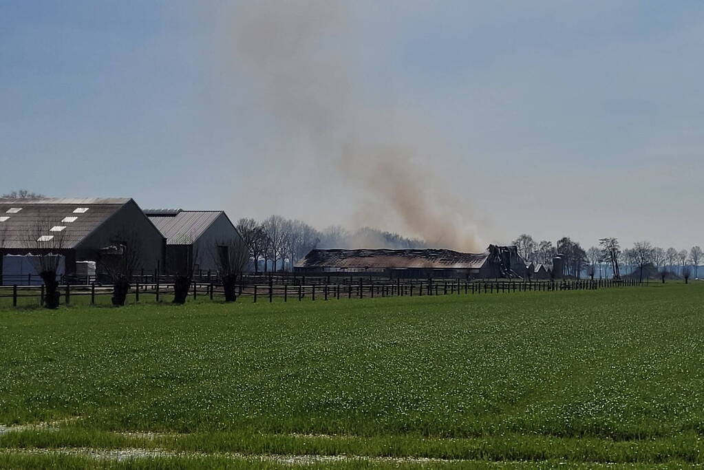 9000 varkens overleden door grote stalbrand