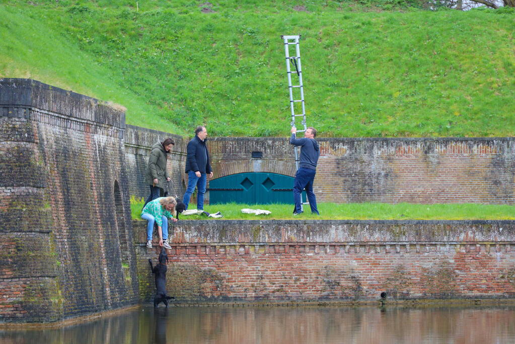 Hond valt van meters hoge vestingwal in water