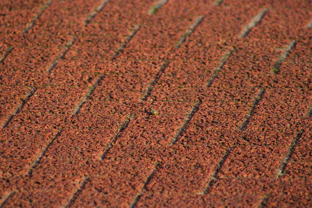 Meerdere schoten gelost op flatgebouw