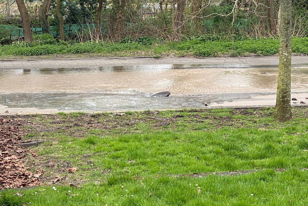 Straat volgelopen met water na lek in waterleiding