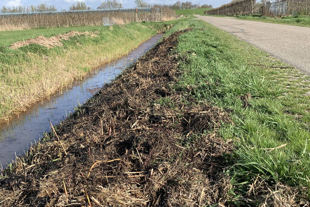 Bermbrand snel onder controle