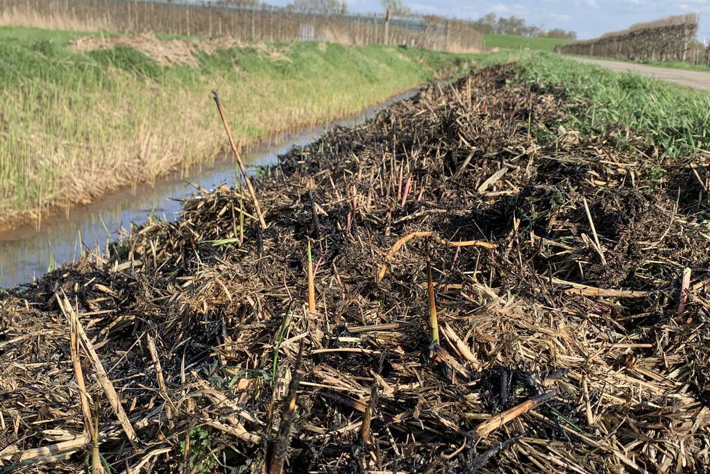 Bermbrand snel onder controle