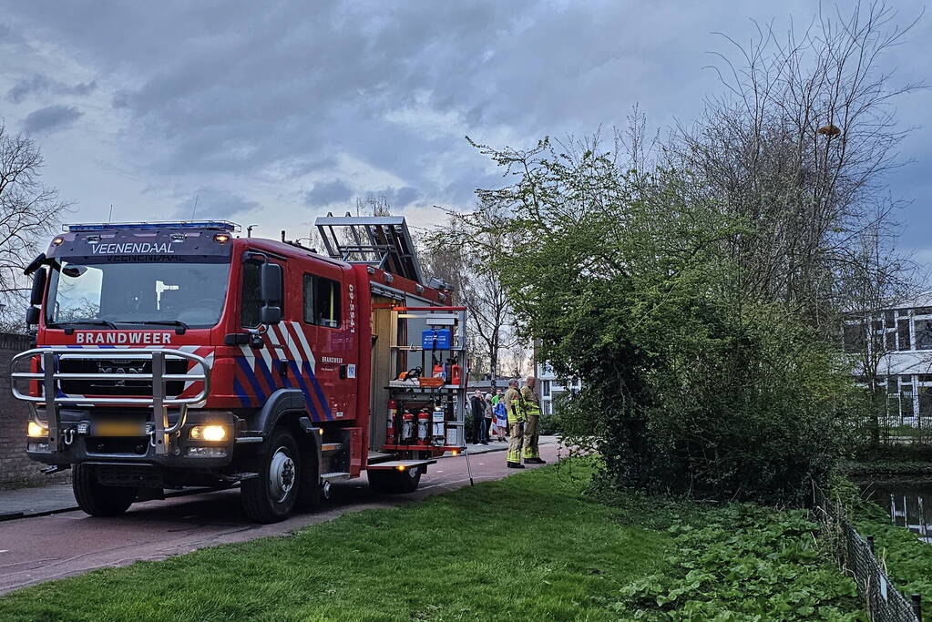 Brandweer ingezet voor kat in boom
