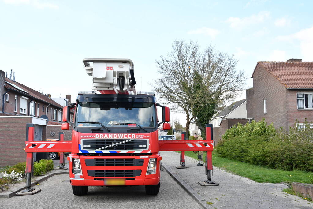 Brandweer schiet te hulp bij vermiste Ara