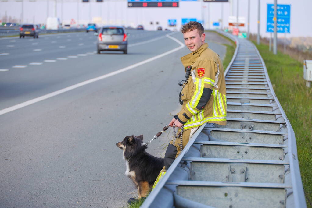 Flinke ravage op snelweg door ongeval