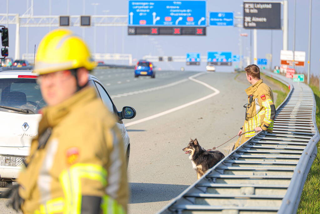 Flinke ravage op snelweg door ongeval