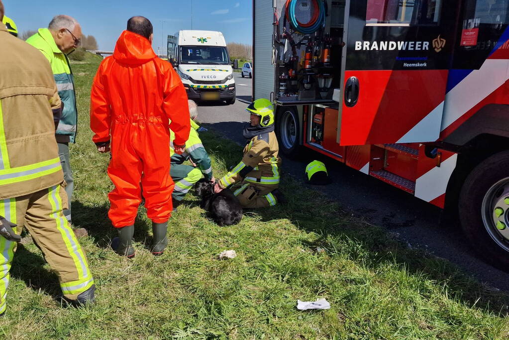 Auto ondersteboven te water geraakt