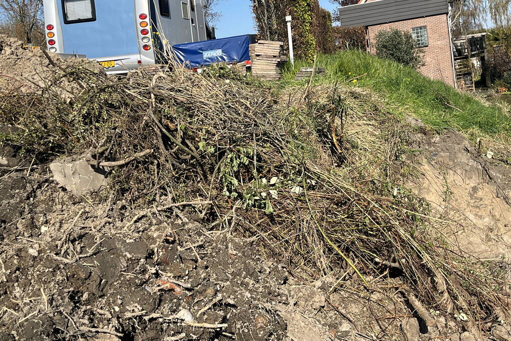 Bever maakt burcht en zorgt voor gevaarlijke situatie