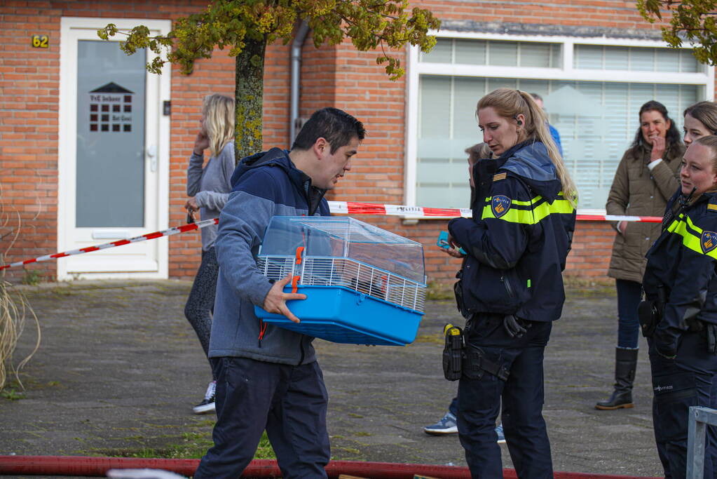 Veel schade naar brand op dak