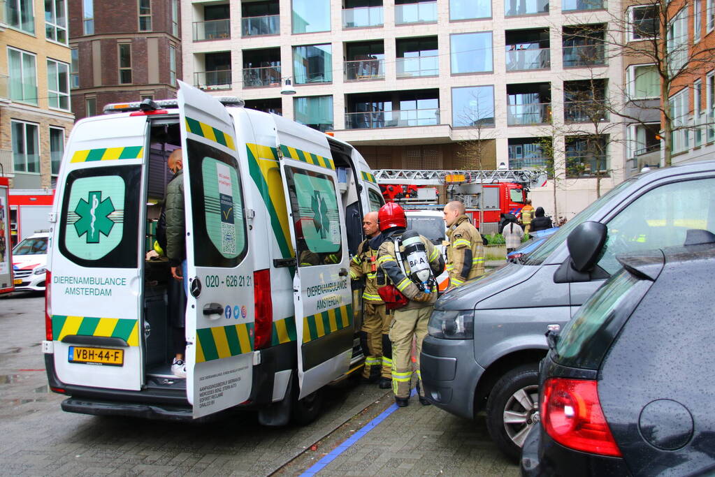 Bewoner en huisdier krijgen rook binnen bij hevige woningbrand
