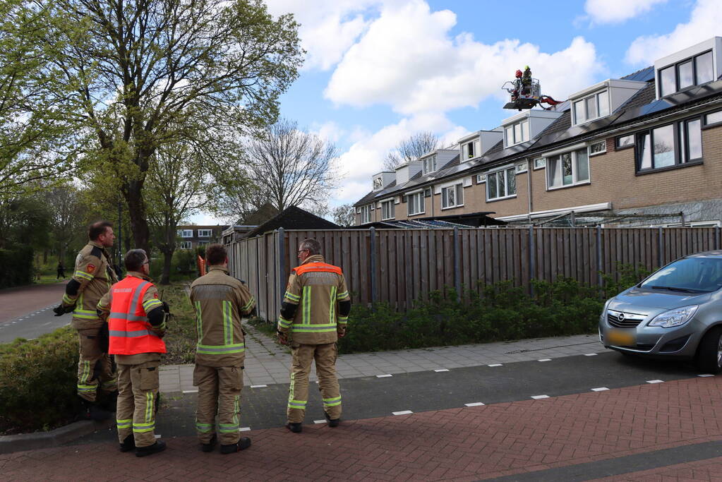 Twee personen op dak van woning