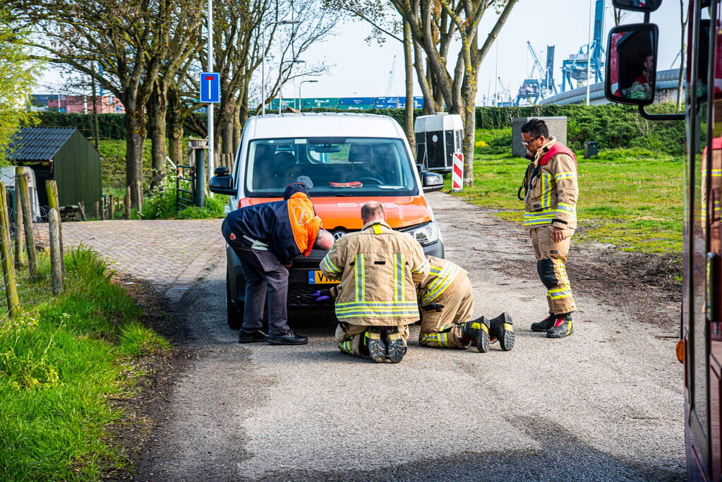 Brandweer redt duif uit voorkant van bestelbus