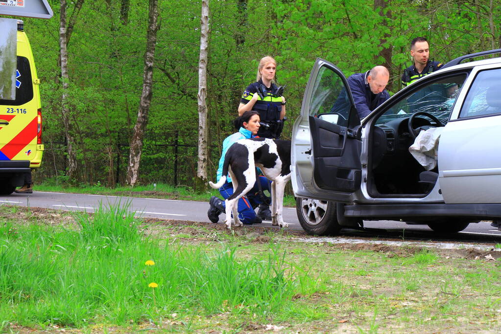 Flinke schade en twee gewonden na ongeval op kruising