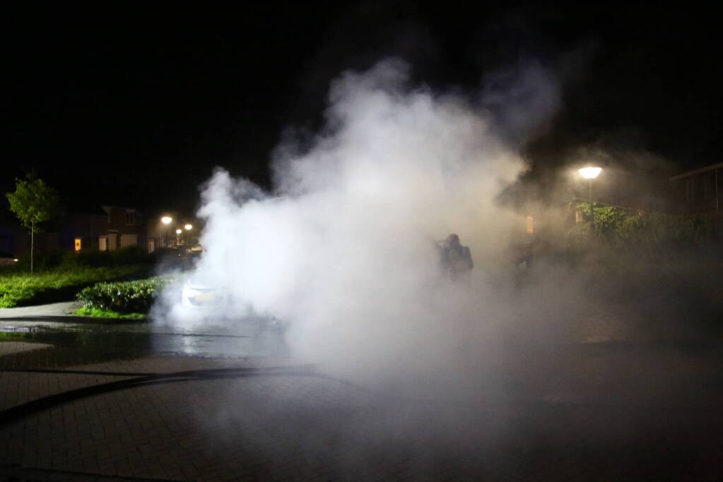 Bestelbus verwoest door brand