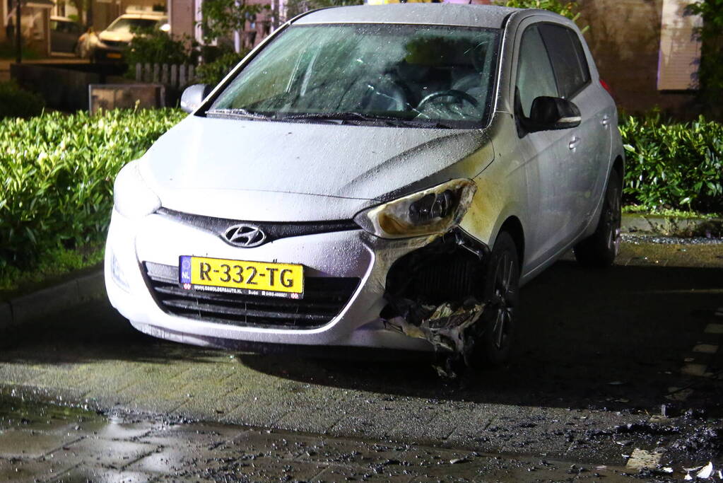 Bestelbus verwoest door brand