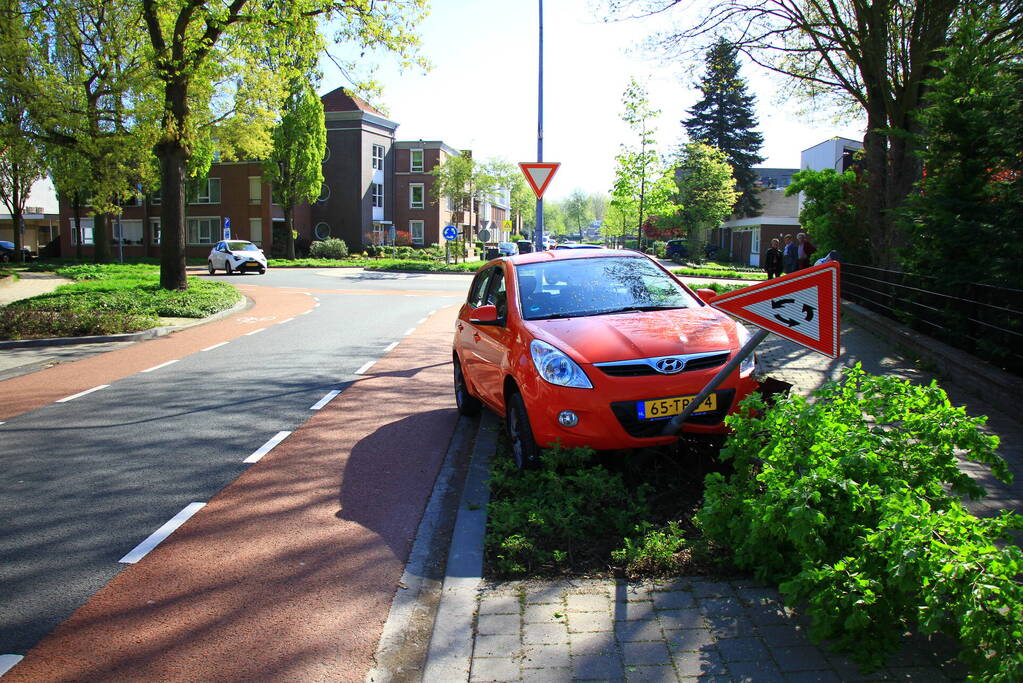 Automobilist ramt boom en verkeersbord