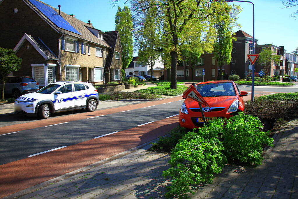 Automobilist ramt boom en verkeersbord