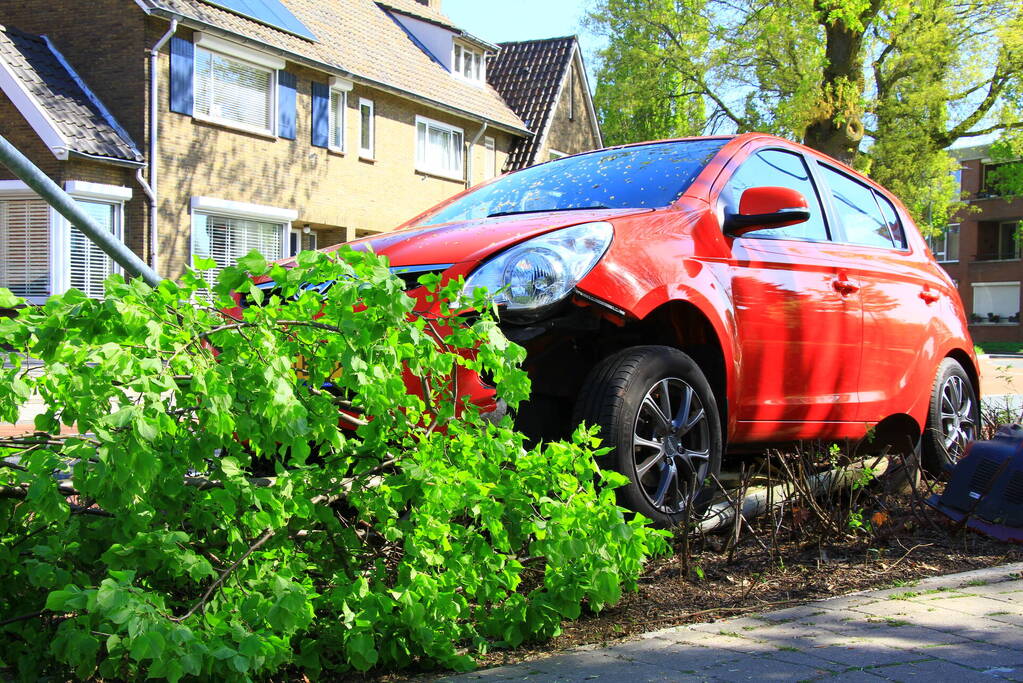 Automobilist ramt boom en verkeersbord
