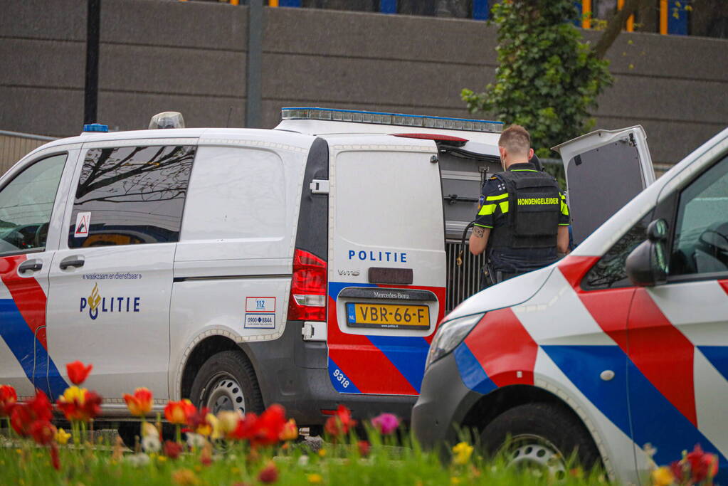 Trein stilgezet op NS-station vanwege melding van vuurwapen
