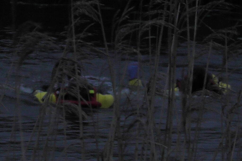 Lammetje raakt te water