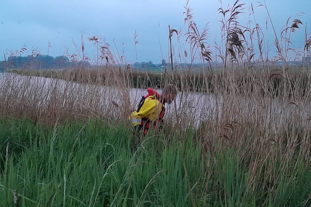 Lammetje raakt te water