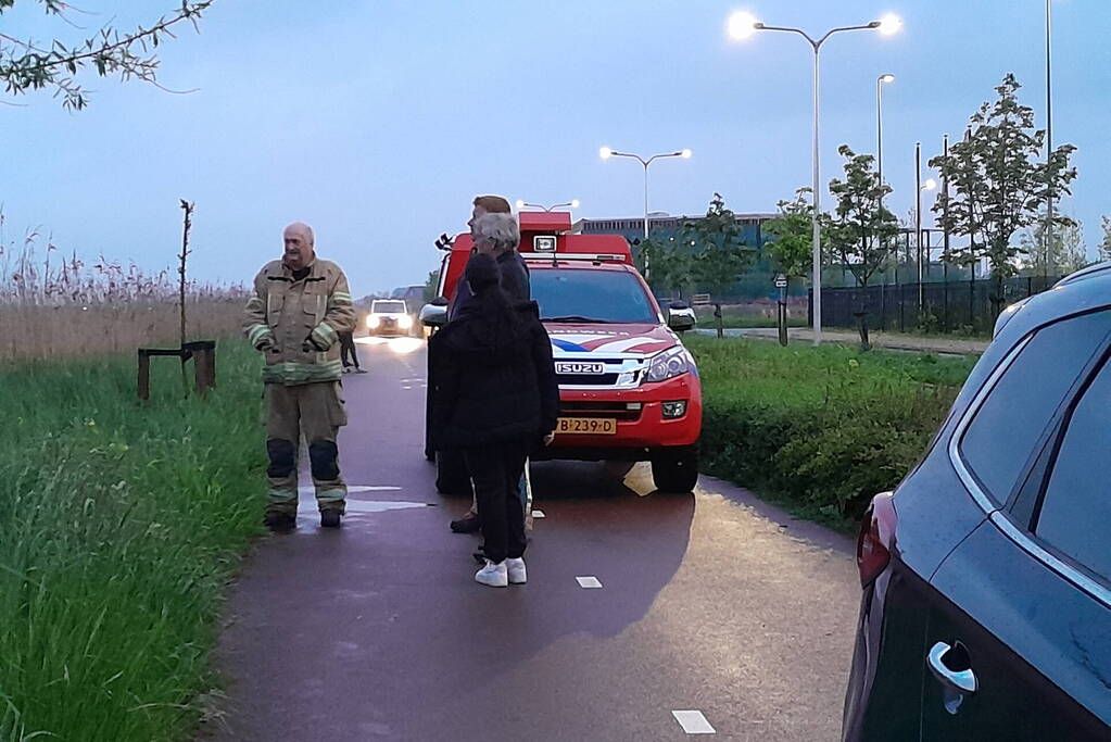 Lammetje raakt te water