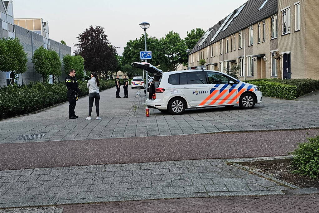 Geparkeerde auto verwoest door brand