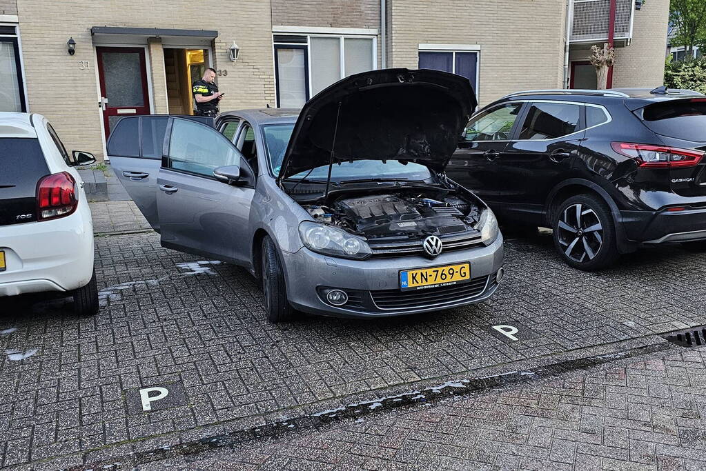 Geparkeerde auto verwoest door brand