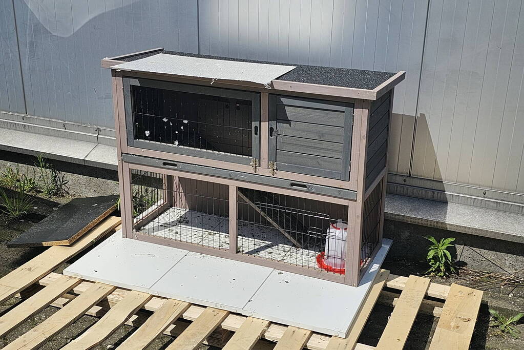 Duiven gedumpt in konijnen hok