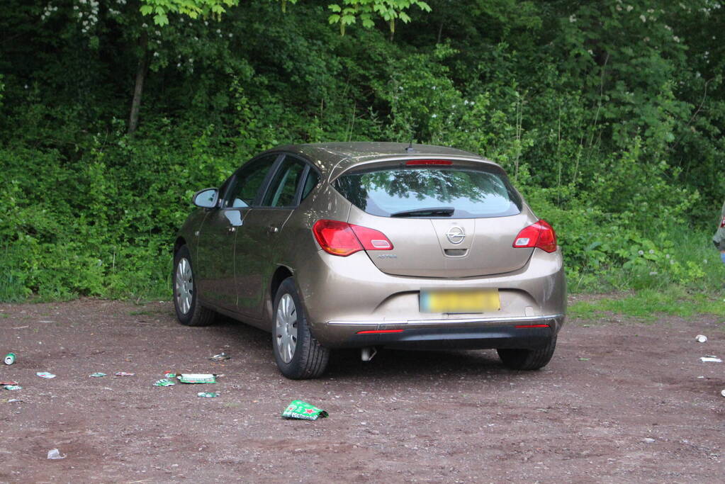 Auto rijdt dwars door heg