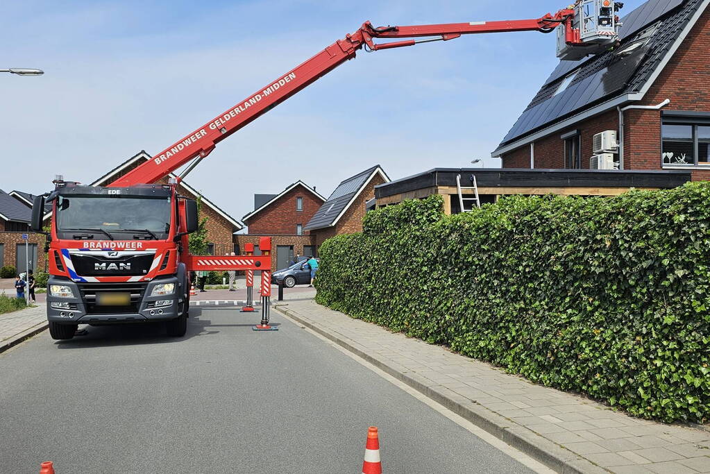 Duif vast onder zonnepanelen