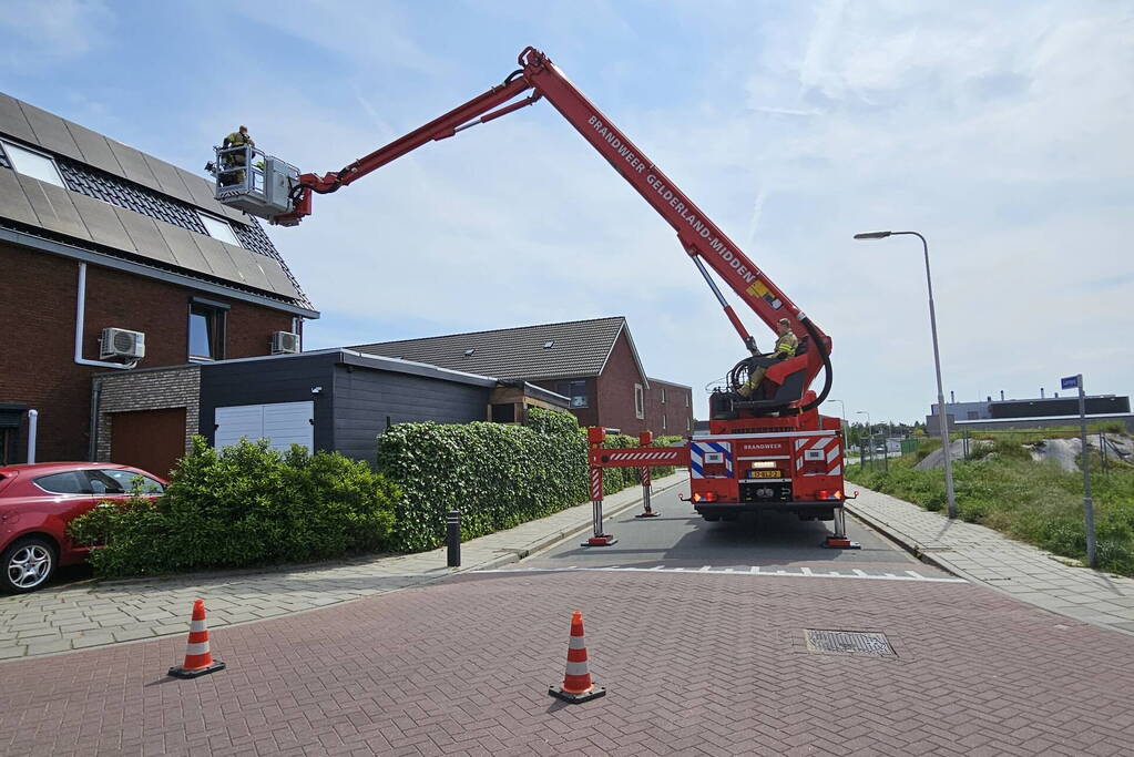 Duif vast onder zonnepanelen