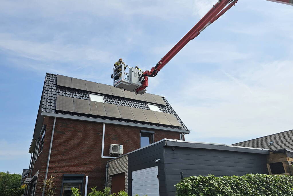Duif vast onder zonnepanelen