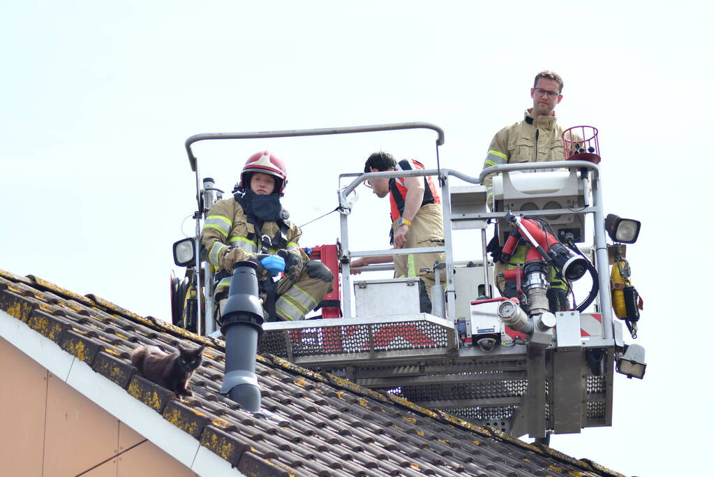 Brandweer redt kat Maruow van dak