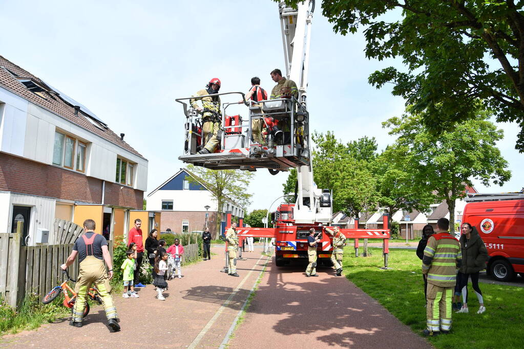 Brandweer redt kat Maruow van dak