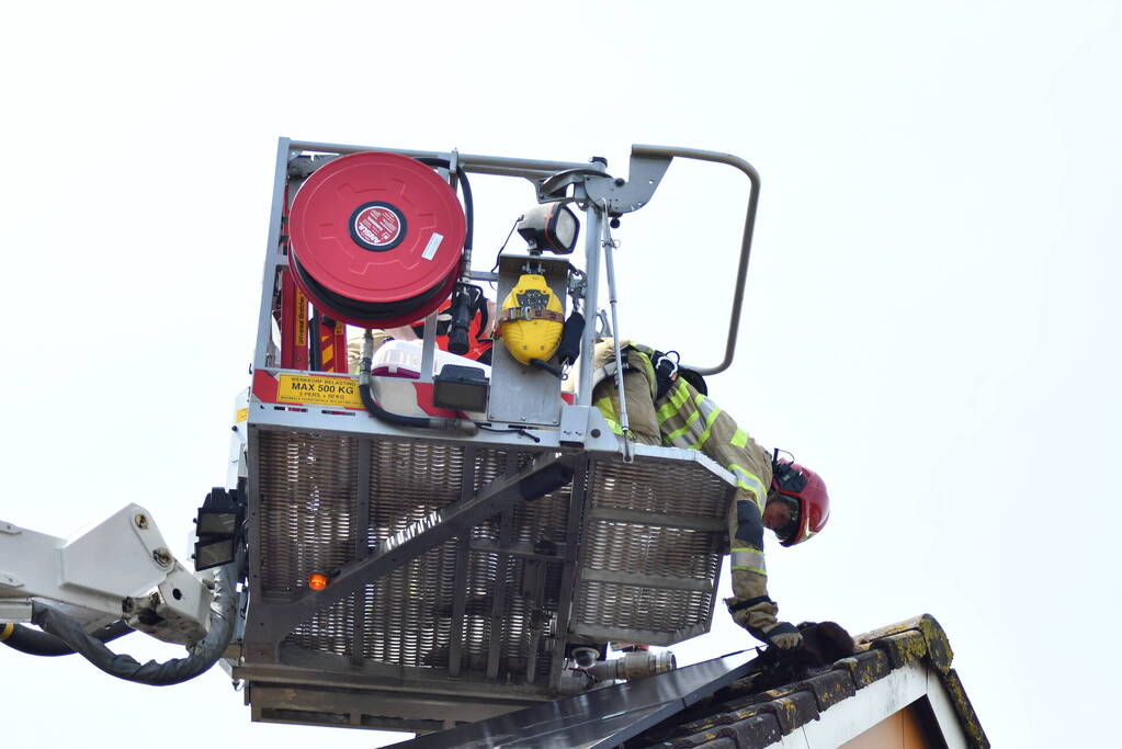 Brandweer redt kat Maruow van dak