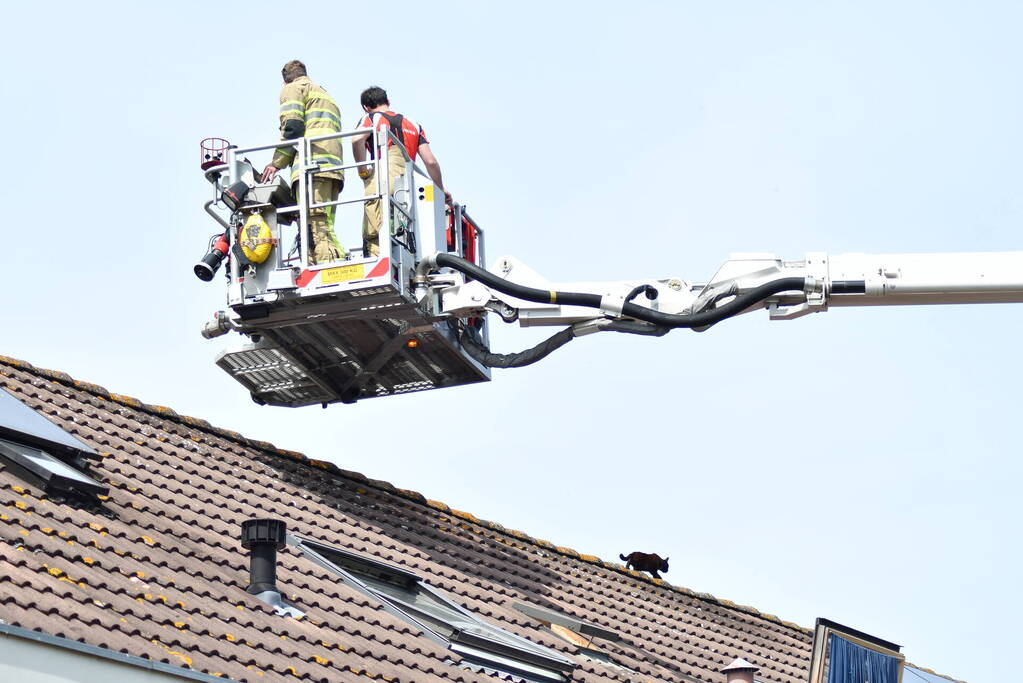 Brandweer redt kat Maruow van dak
