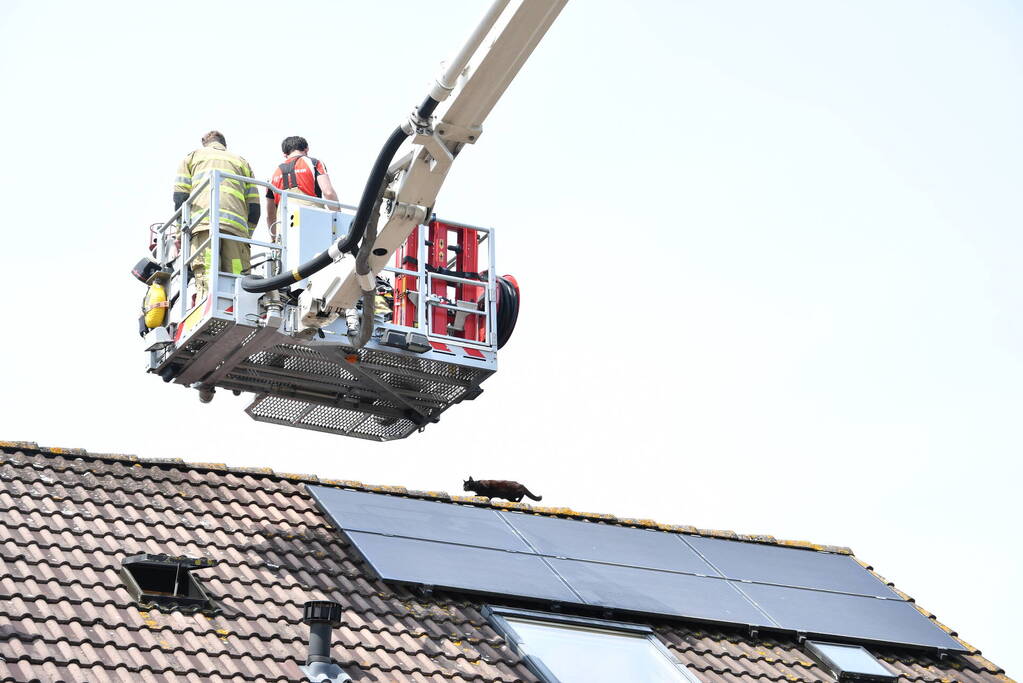 Brandweer redt kat Maruow van dak