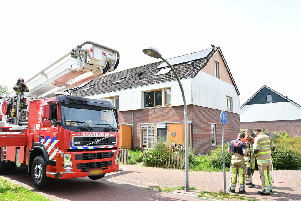 Brandweer redt kat Maruow van dak